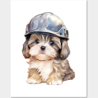 Shih Tzu Dog in Helmet Posters and Art